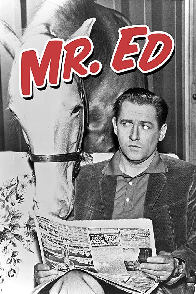 L'affiche du film Mister Ed [1958]