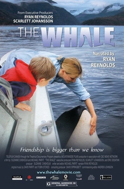 Poster of the movie The Whale