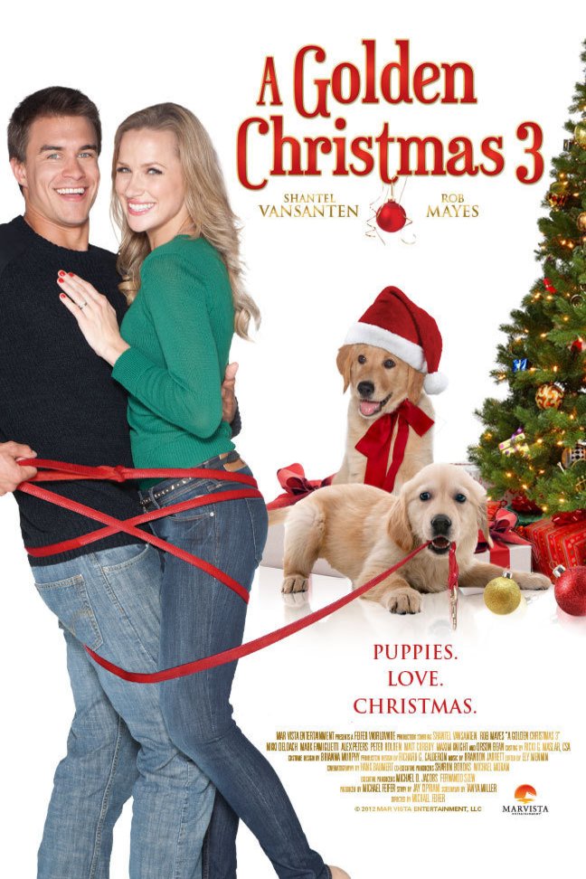 Poster of the movie A Golden Christmas 3