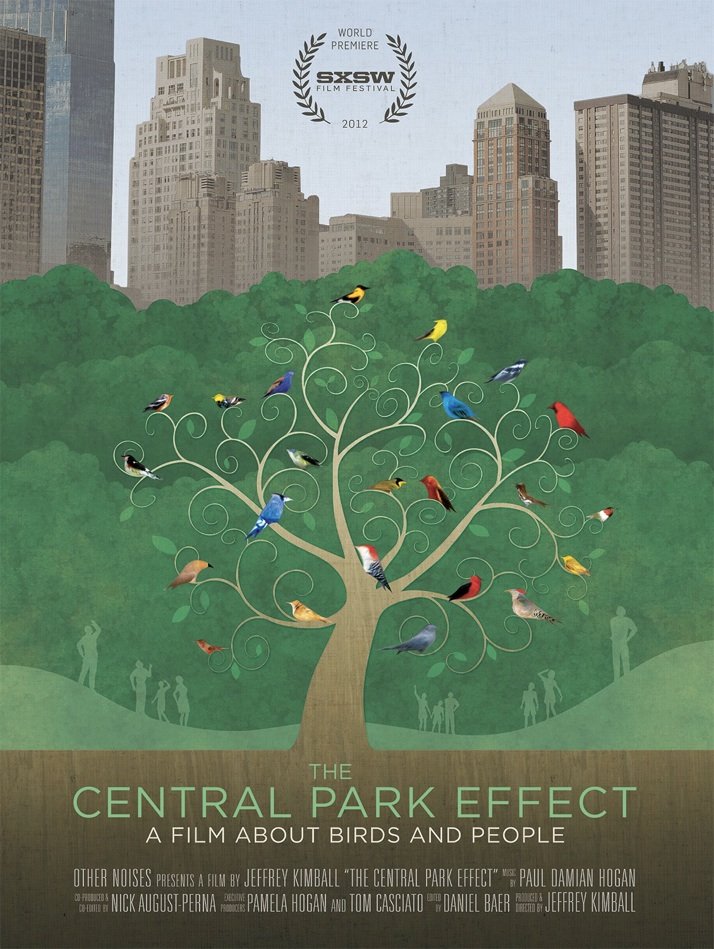 L'affiche du film Birders: The Central Park Effect