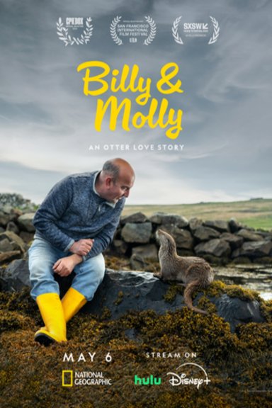 Poster of the movie Billy & Molly: An Otter Love Story [2024]