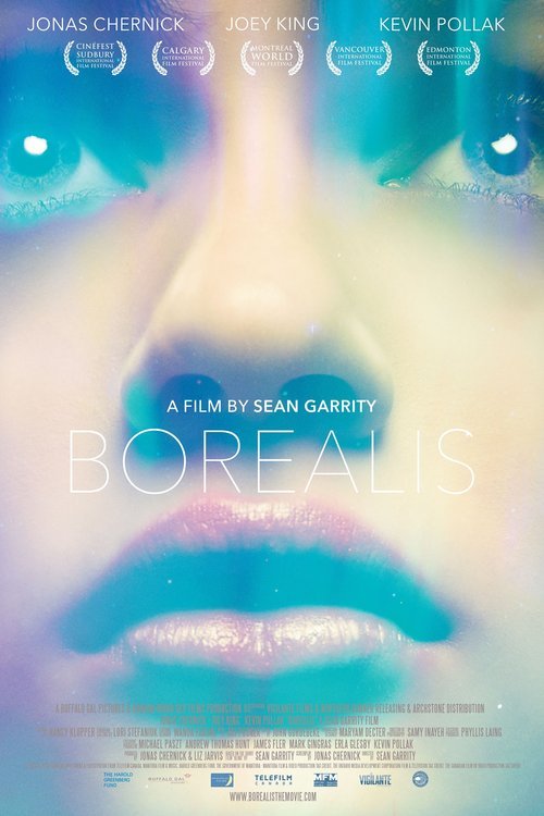 L'affiche du film Borealis [2015]