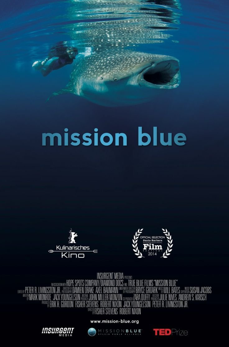 Poster of the movie Mission Blue