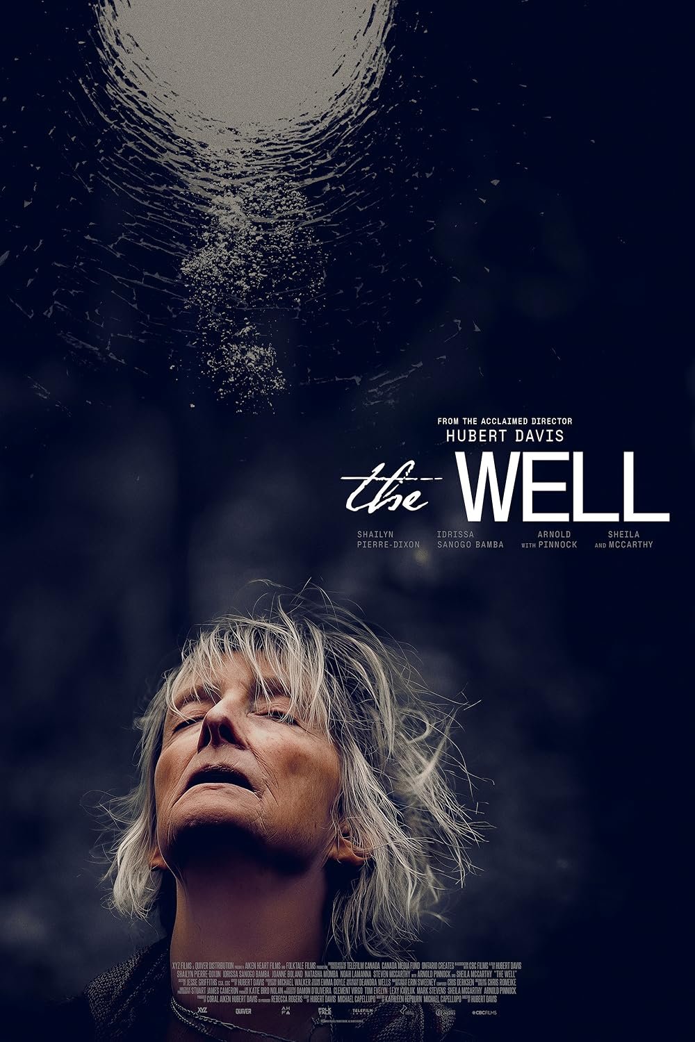 Poster of the movie The Well