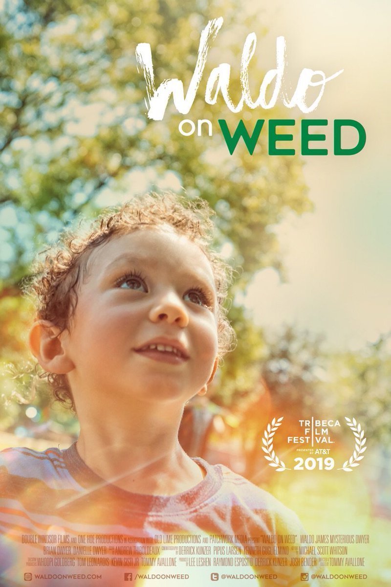 L'affiche du film Waldo on Weed [2020]