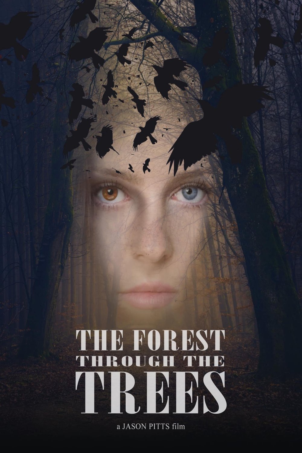 L'affiche du film The Forest Through the Trees