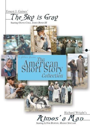 Poster of the movie The Sky Is Gray