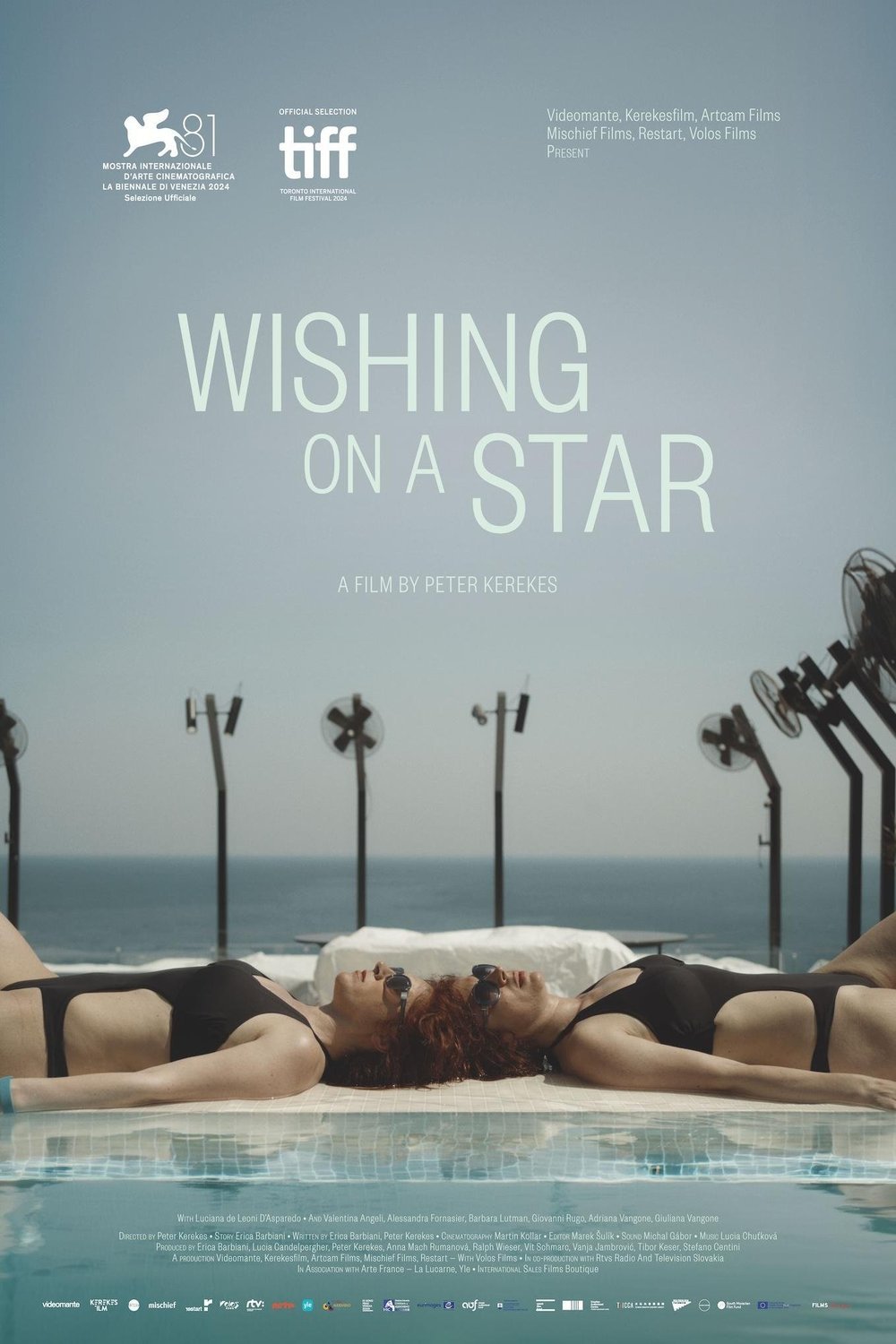 Poster of the movie Wishing on a Star [2024]