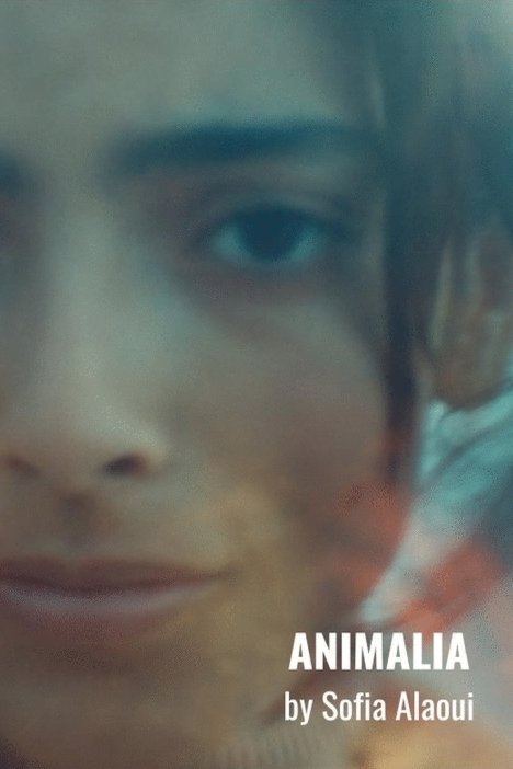 L'affiche du film Animalia [2023]