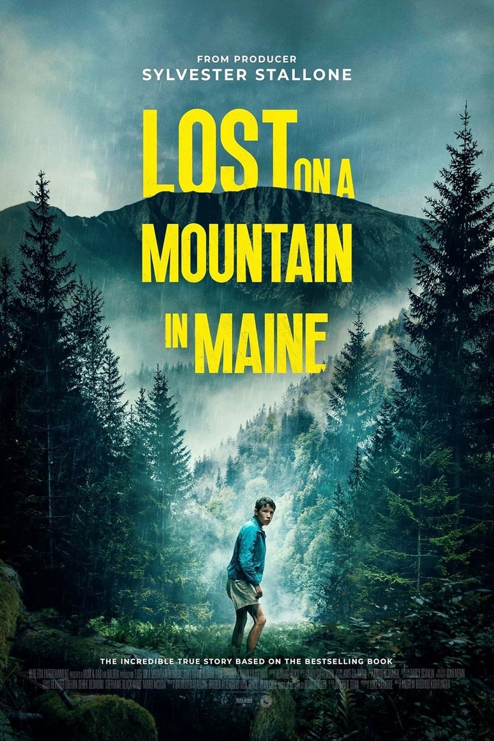 Poster of the movie Lost on a Mountain in Maine