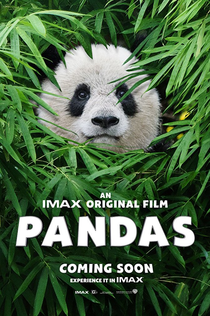 Poster of the movie Pandas [2018]