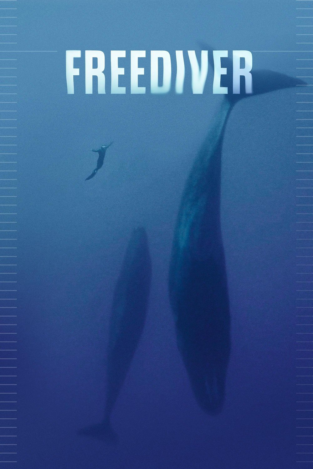 L'affiche du film Freediver [2024]