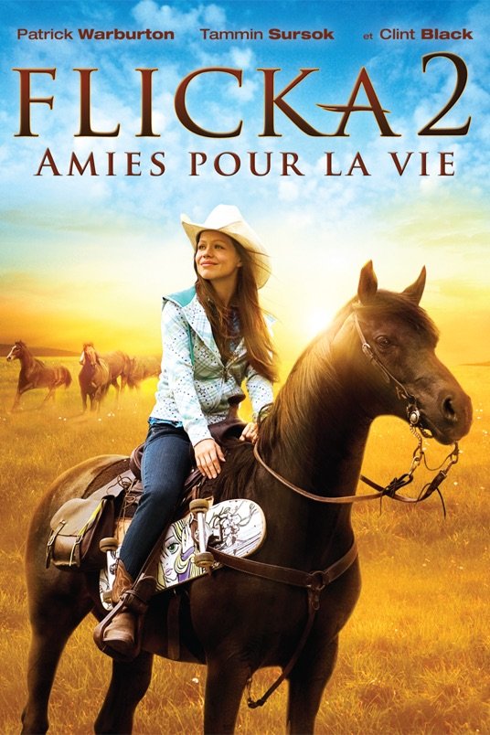 L'affiche du film Flicka 2: Amies pour la vie