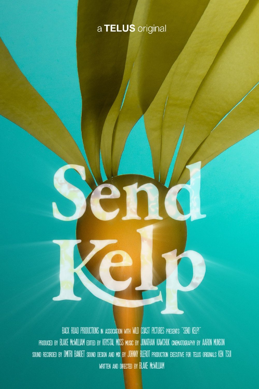 Poster of the movie Send Kelp! [2024]