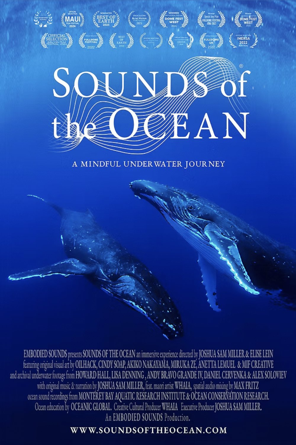 Poster of the movie Sounds of the Ocean [2023]