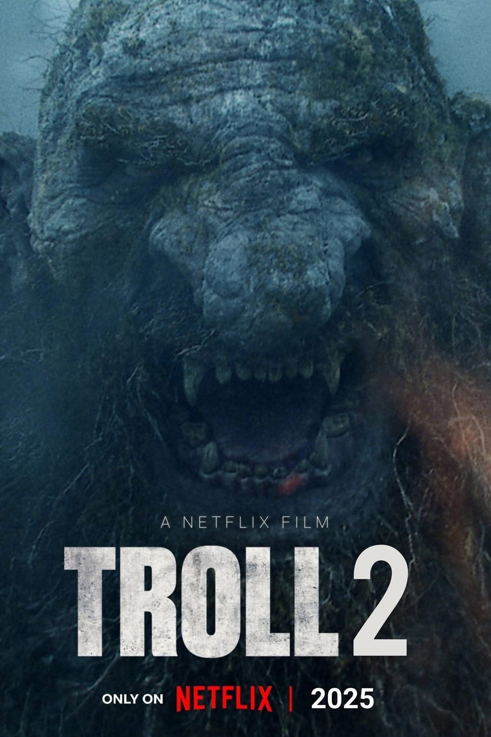 L'affiche du film Troll 2