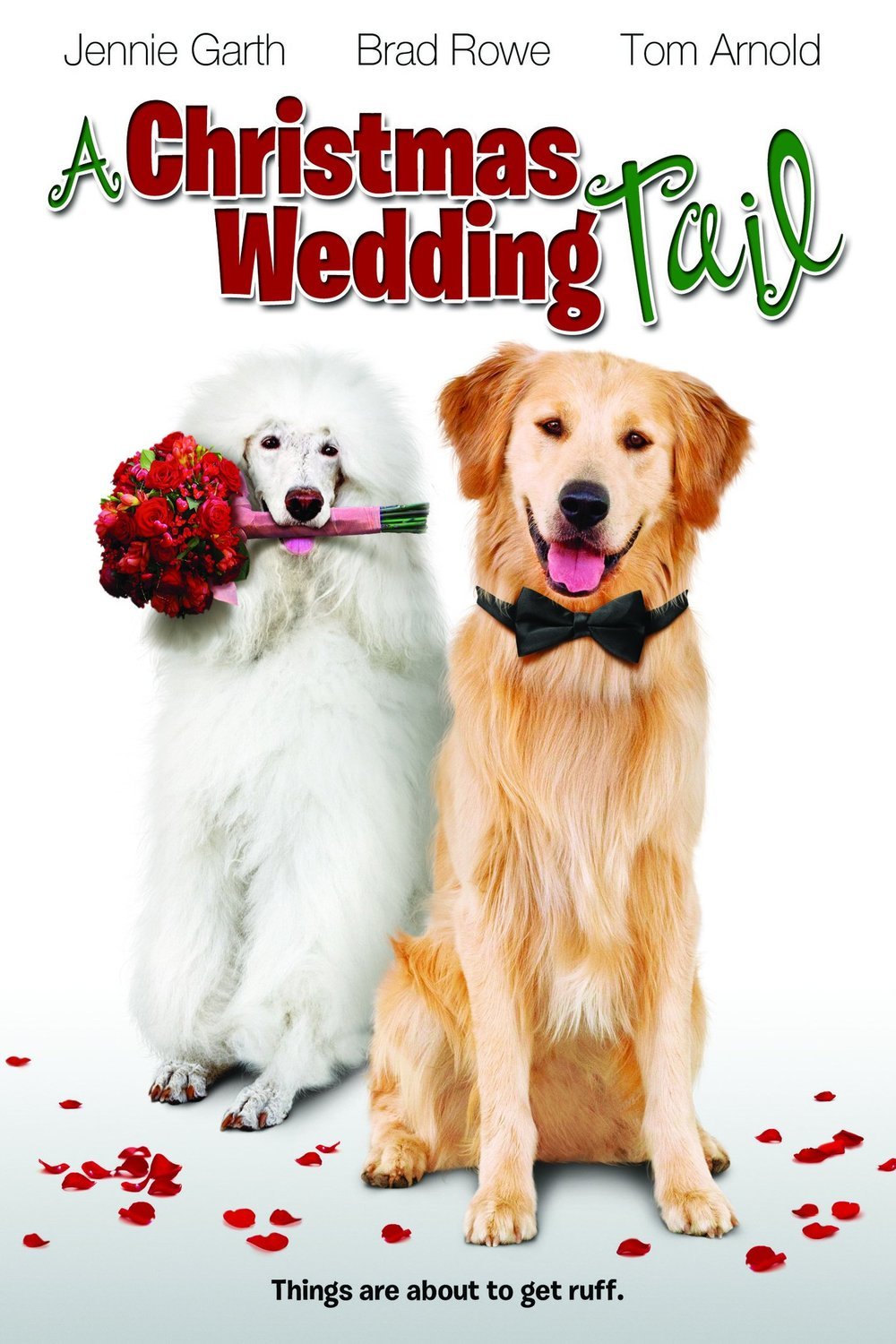 L'affiche du film A Christmas Wedding Tail [2011]