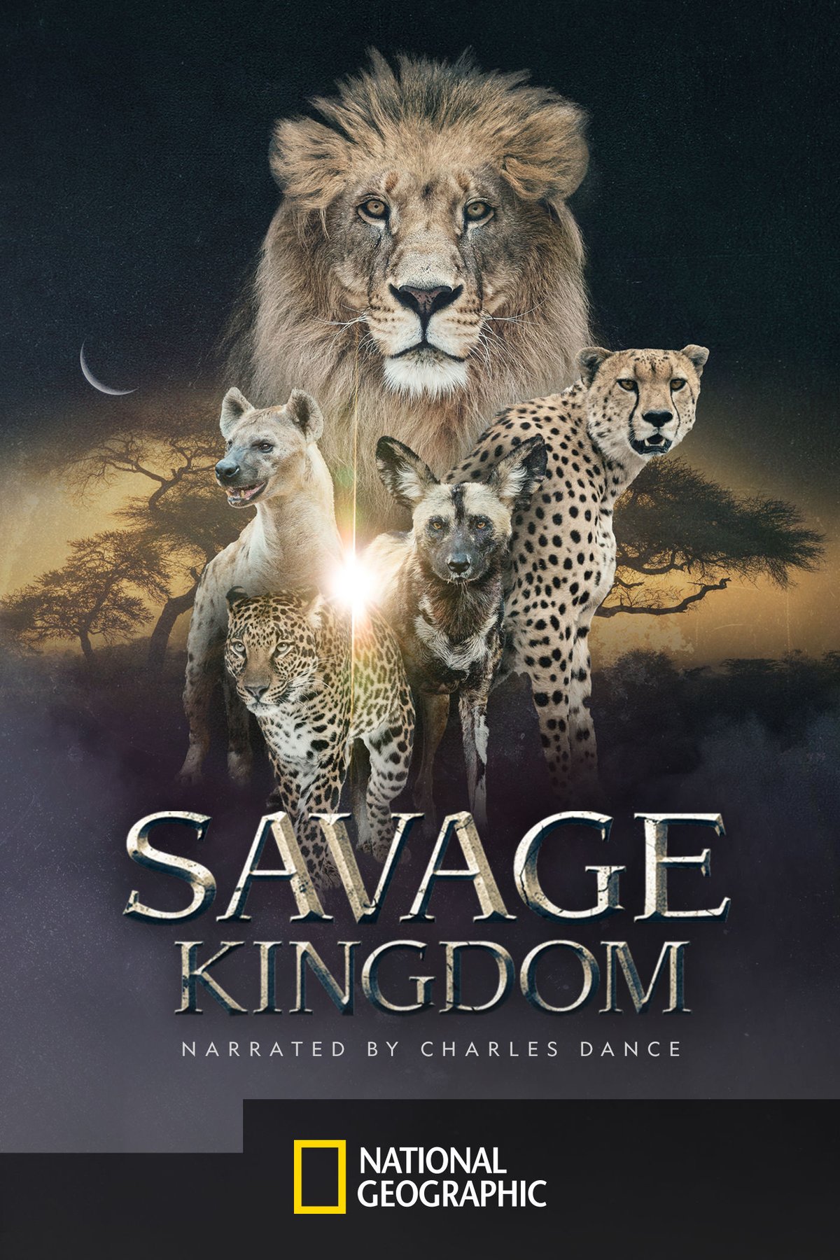 Poster of the movie Savage Kingdom [2016]