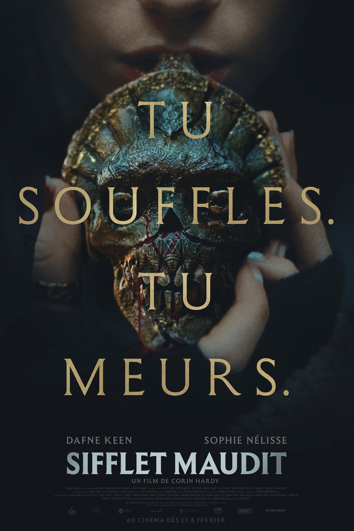 Poster of the movie Sifflet maudit