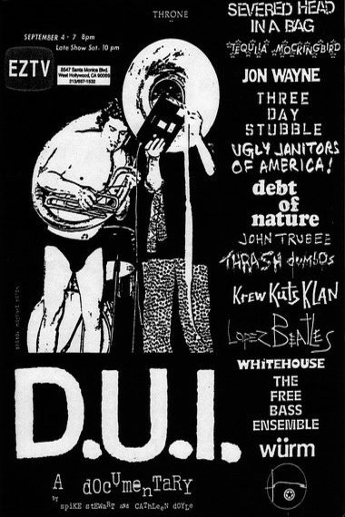 Poster of the movie D.U.I.