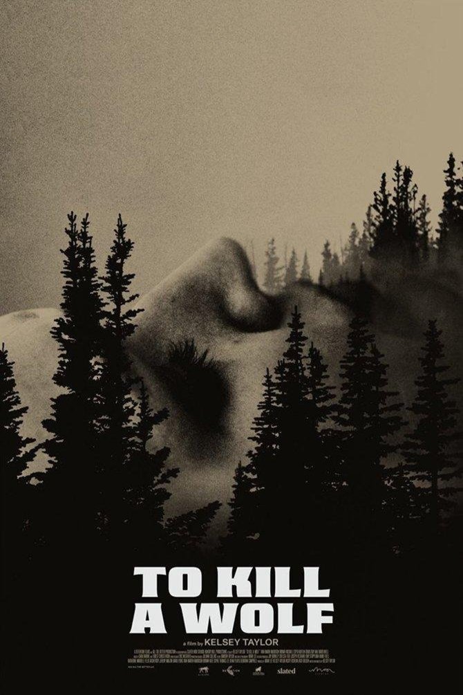 Poster of the movie To Kill a Wolf