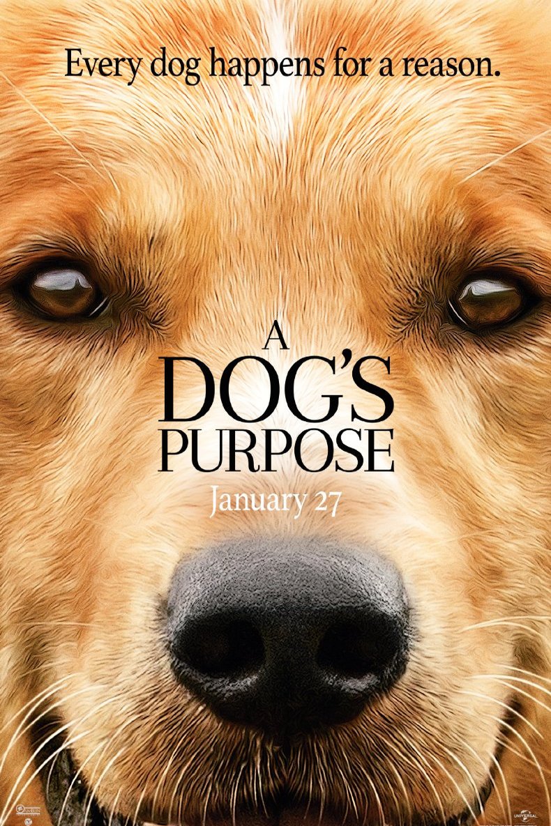 L'affiche du film A Dog's Purpose [2017]