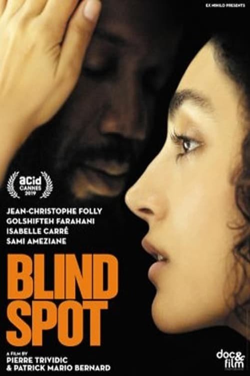 Poster of the movie Blind Spot [2019]