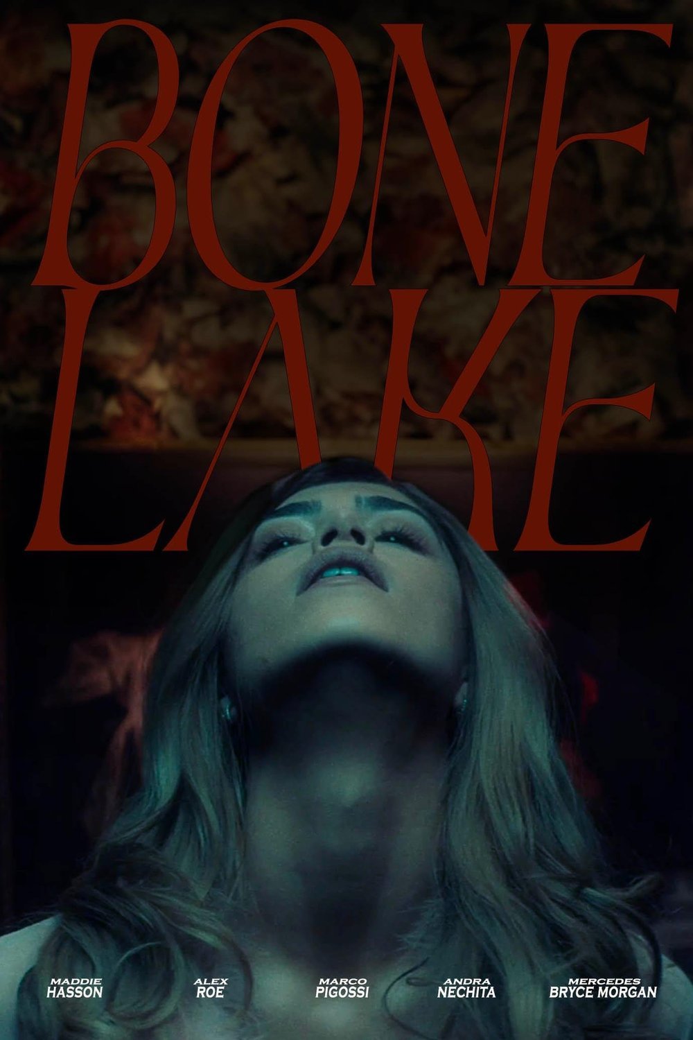 Poster of the movie Bone Lake