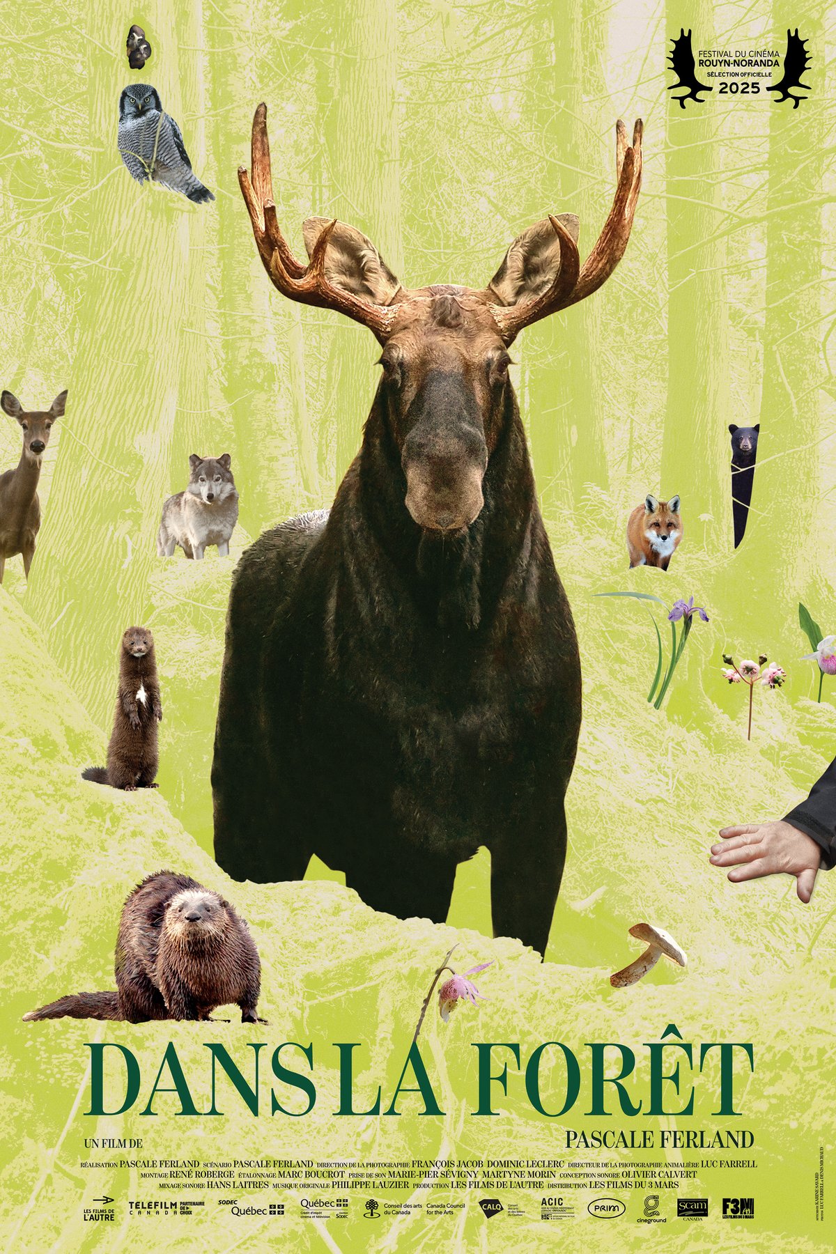 L'affiche du film Dans la forêt