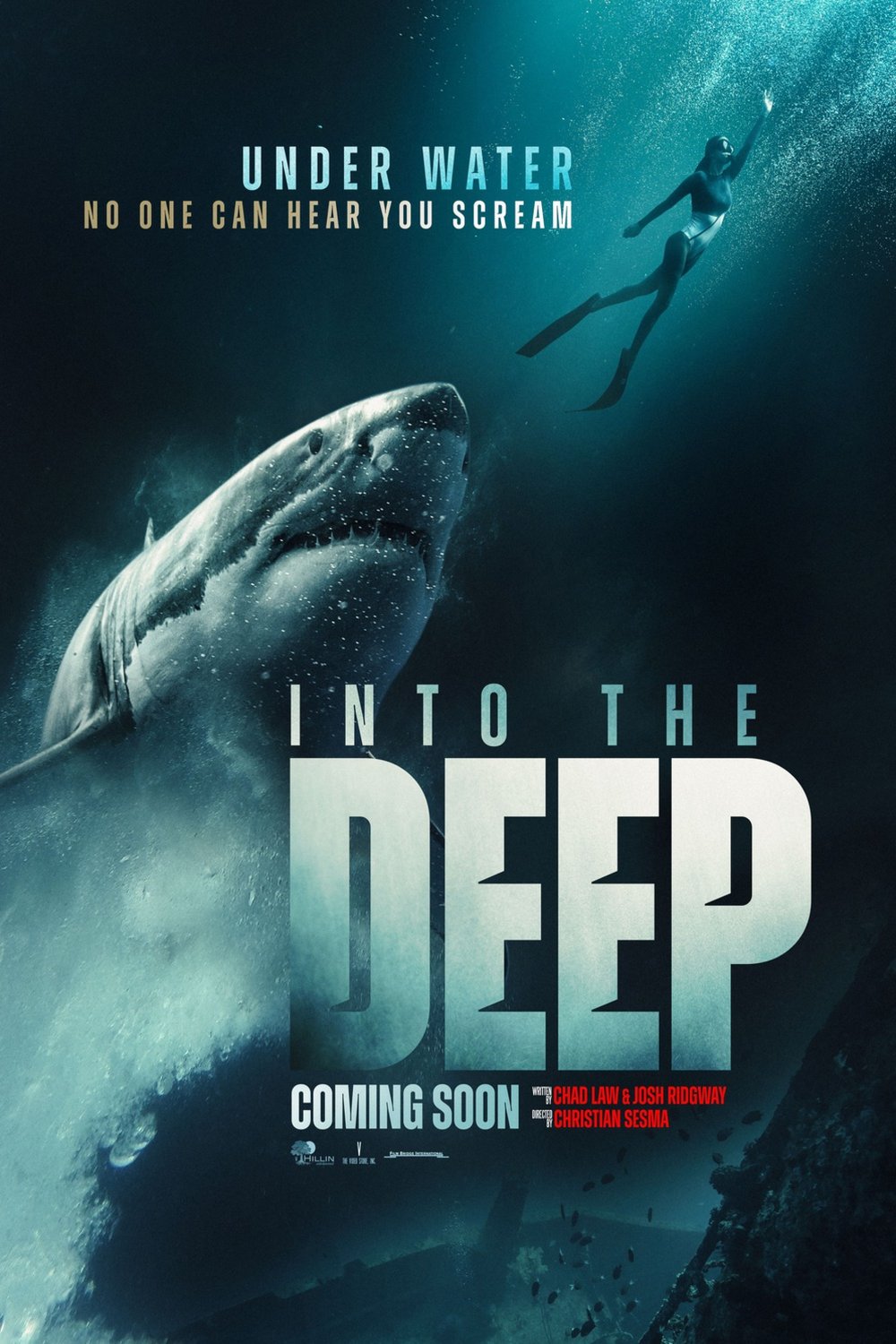 Poster of the movie Into the Deep