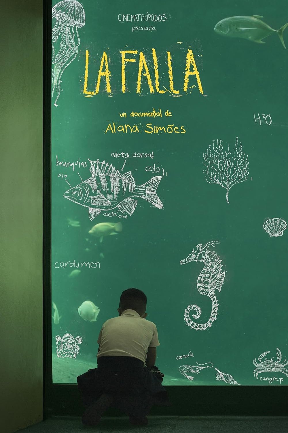L'affiche du film La Falla [2024]