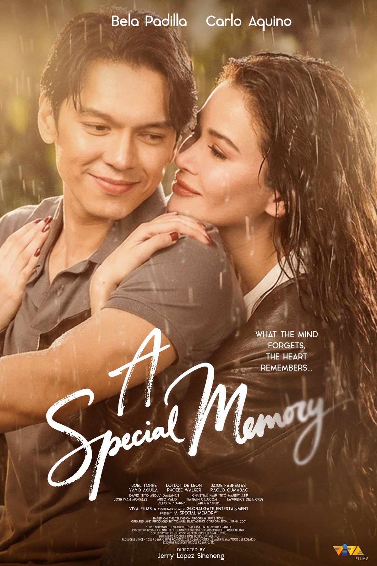 Poster of the movie A Special Memory [2026]