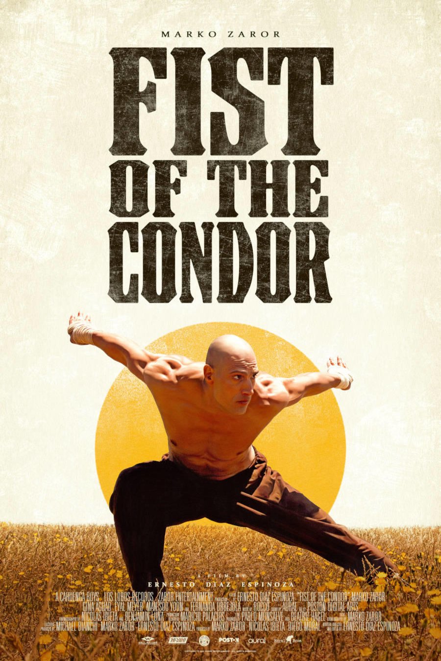 L'affiche du film The Fist of the Condor [2023]