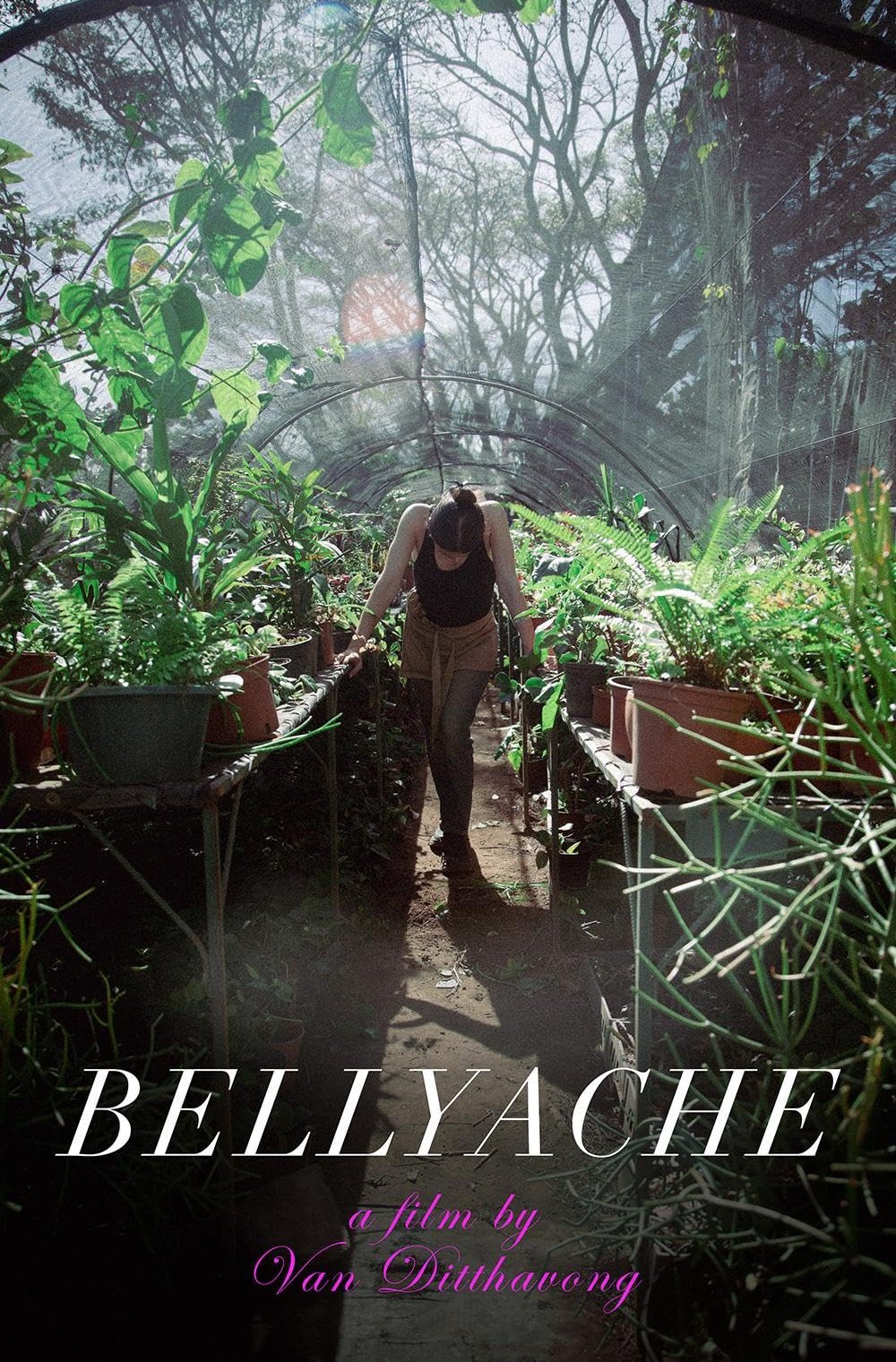 L'affiche du film Bellyache