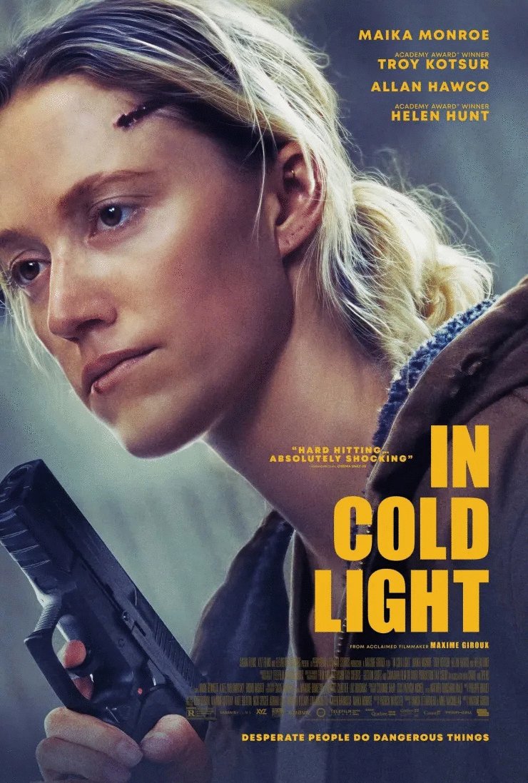 Poster of the movie In Cold Light
