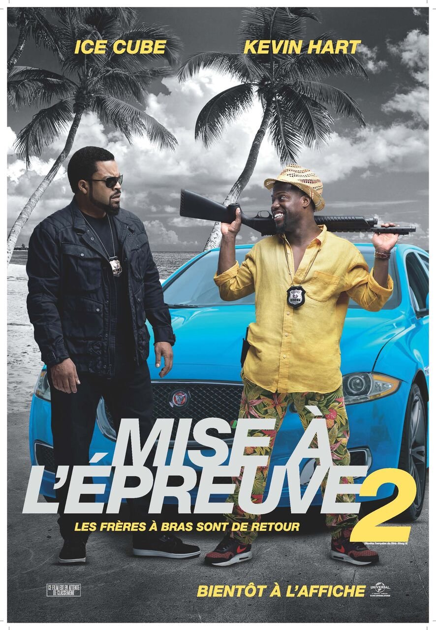 L'affiche du film Mise à l'épreuve 2