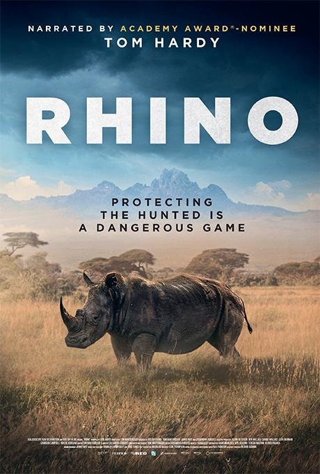 Poster of the movie Rhino [2025]