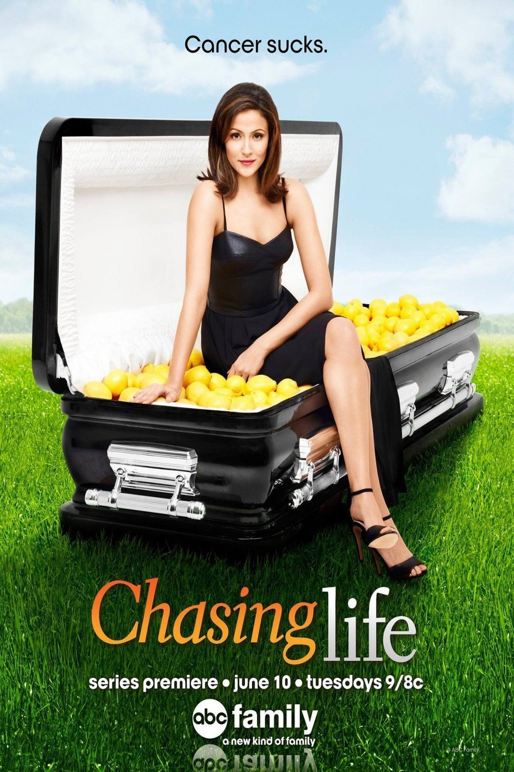 L'affiche du film Chasing Life [2014]