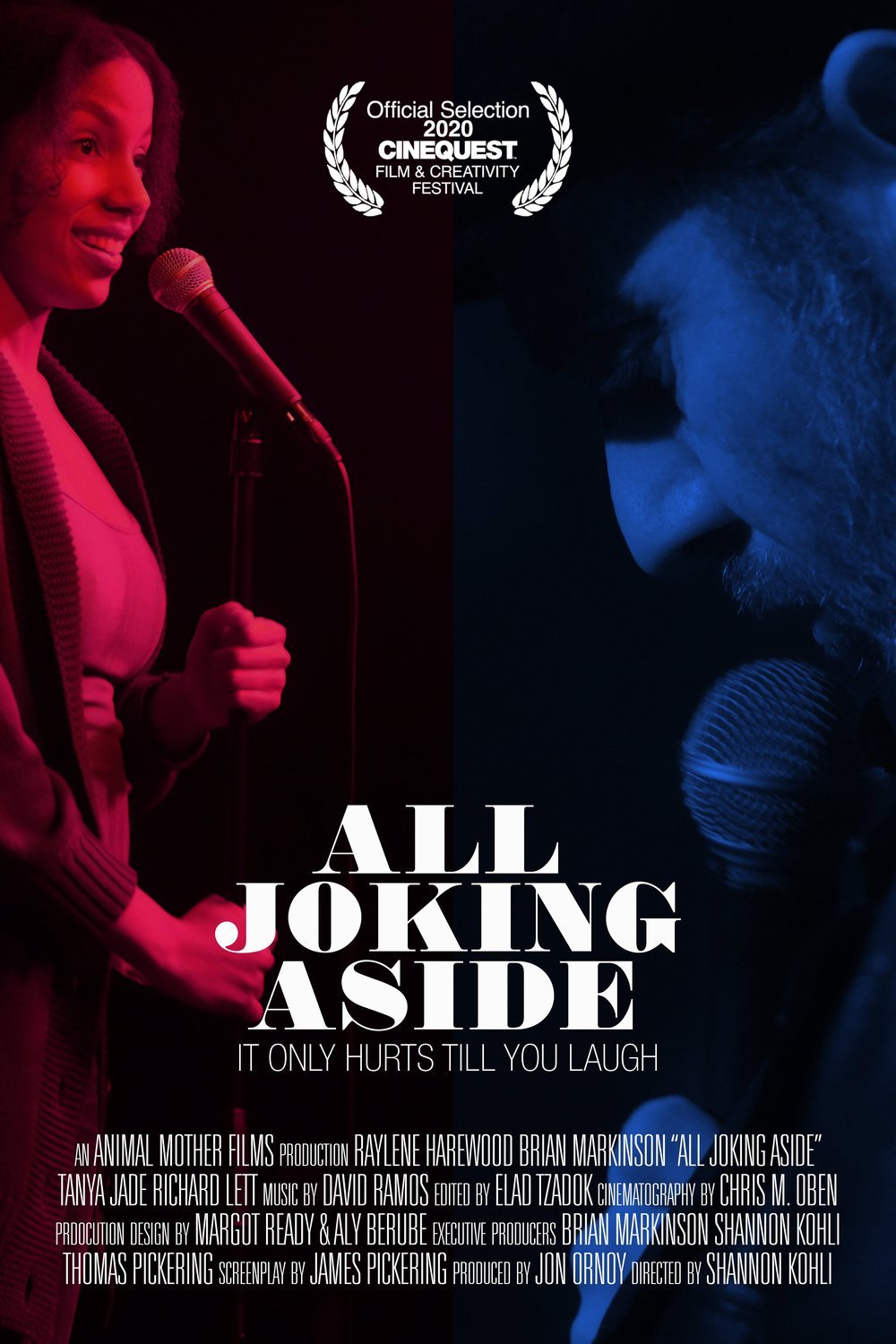 Poster of the movie All Joking Aside