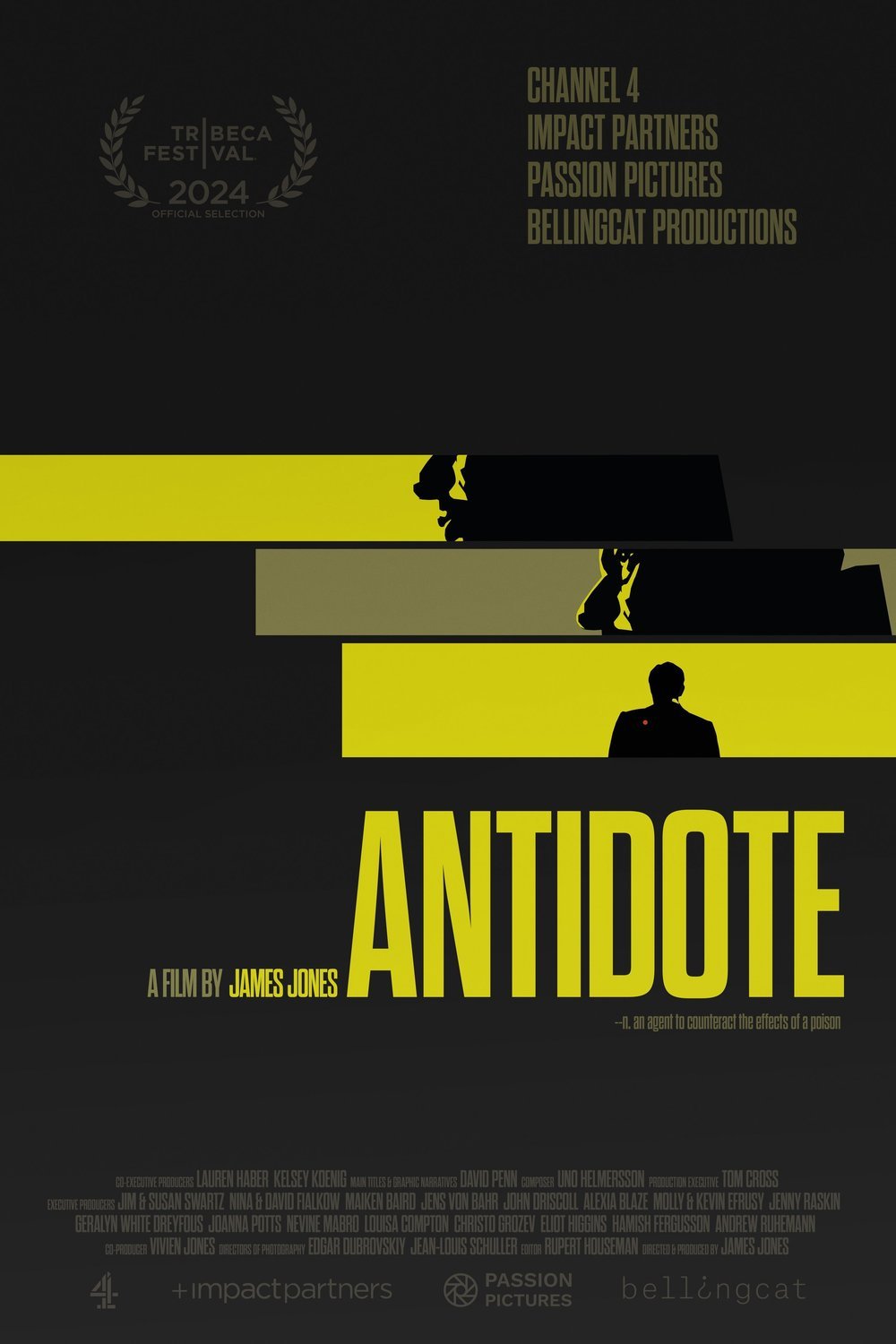 Poster of the movie Antidote