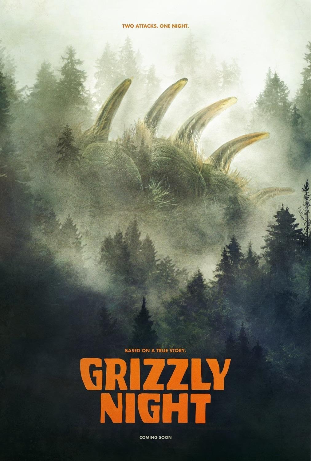 Poster of the movie Grizzly Night
