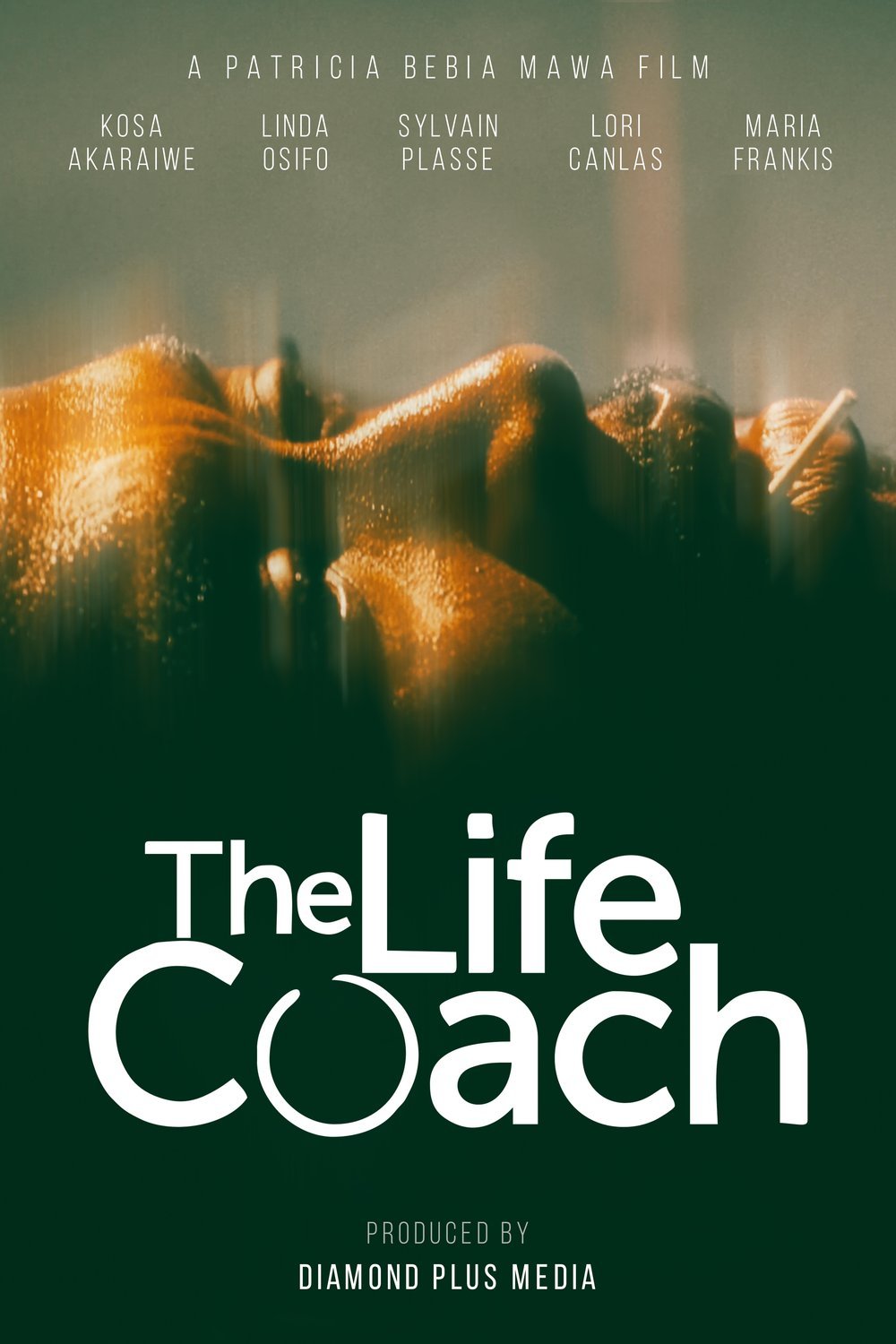 Poster of the movie The Life Coach