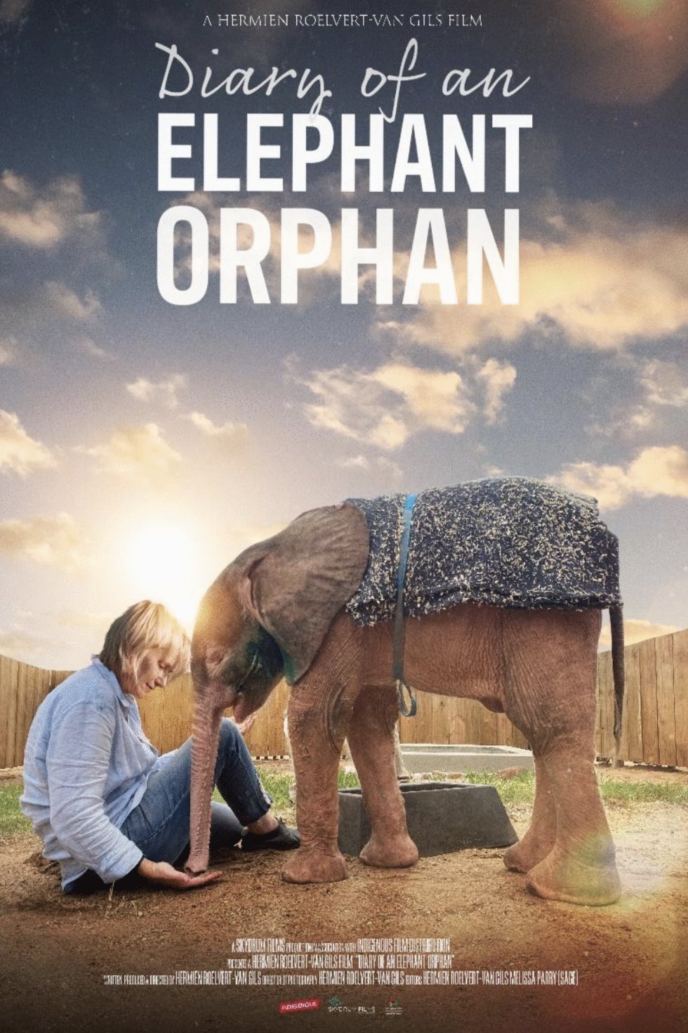 L'affiche du film Diary of an Elephant Orphan