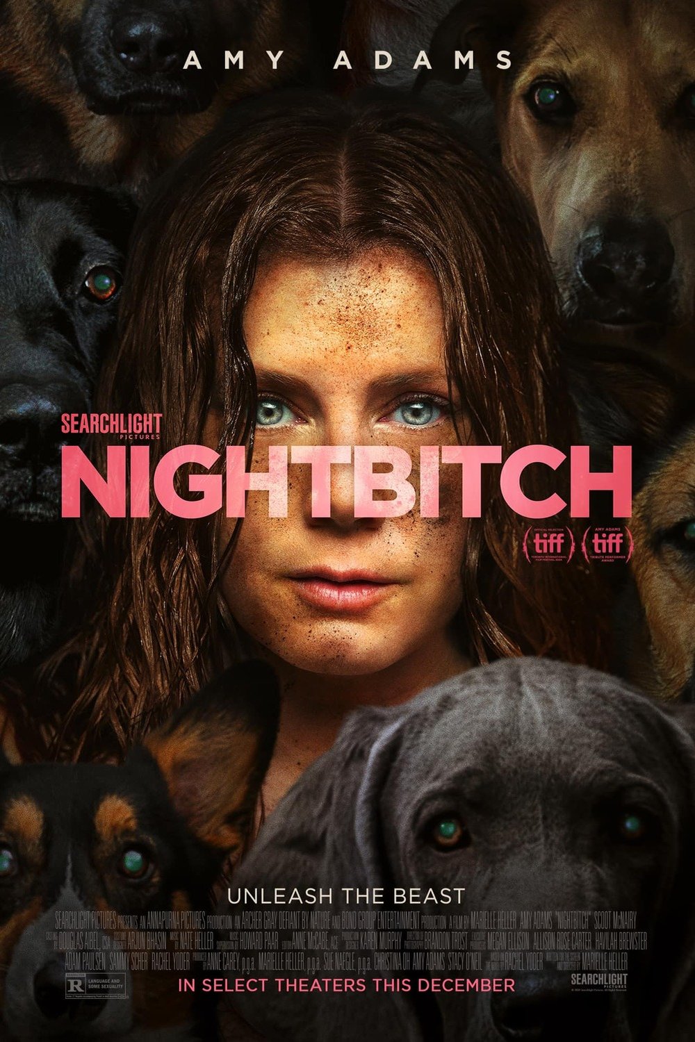 Poster of the movie Nightbitch