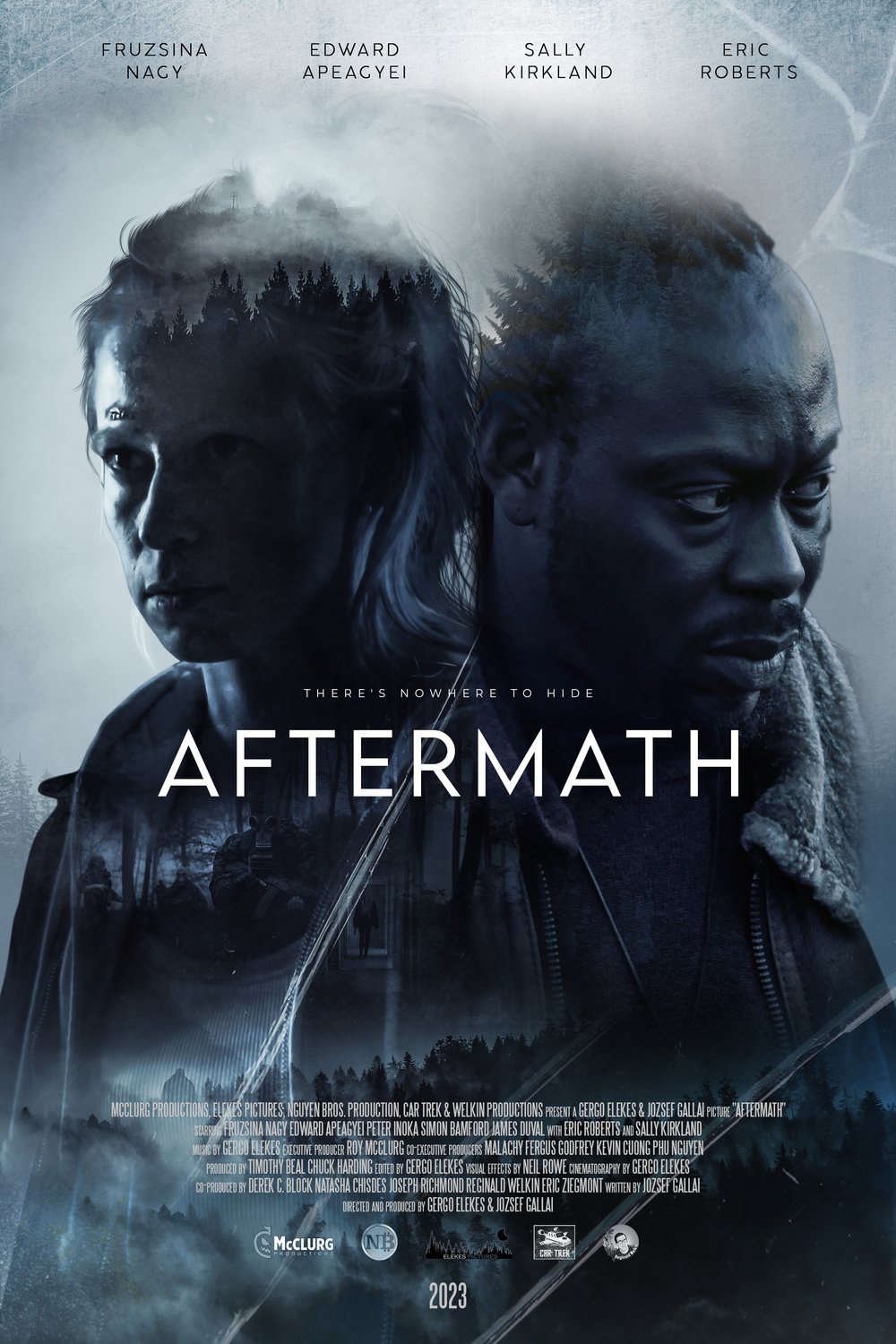 Poster of the movie Aftermath