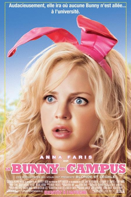 L'affiche du film La Bunny du campus