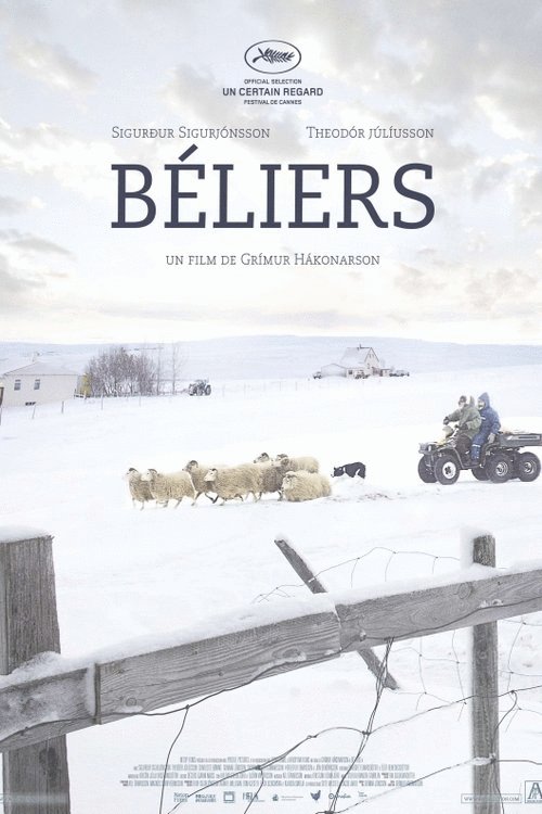 L'affiche du film Béliers [2015]