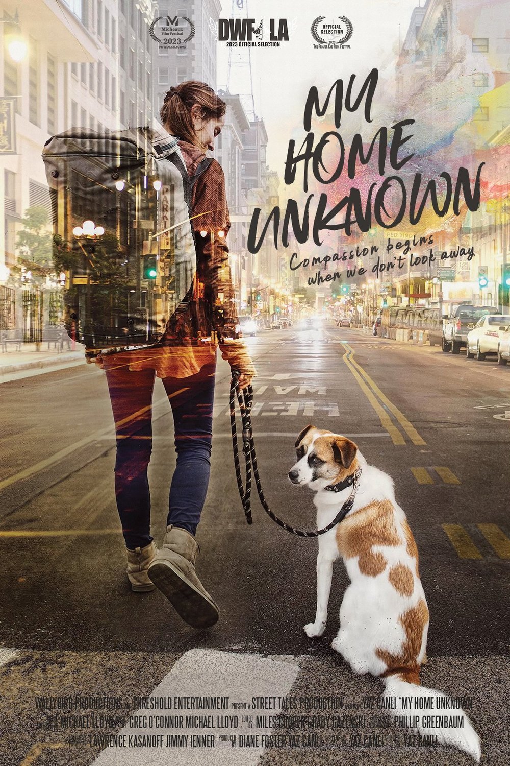 L'affiche du film My Home Unknown