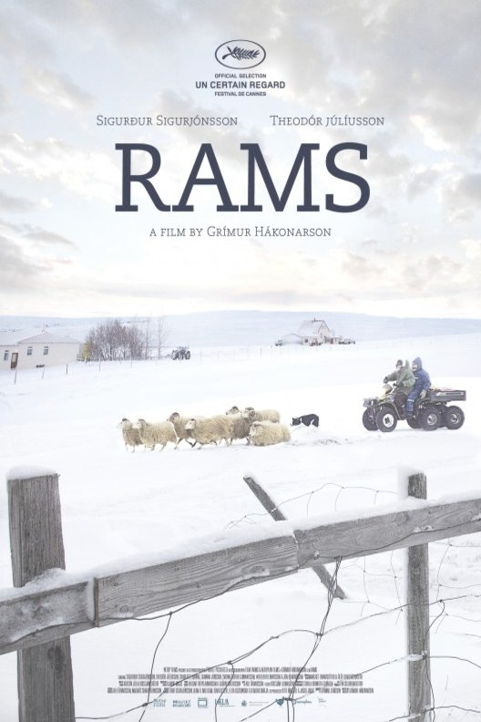 L'affiche du film Rams [2015]