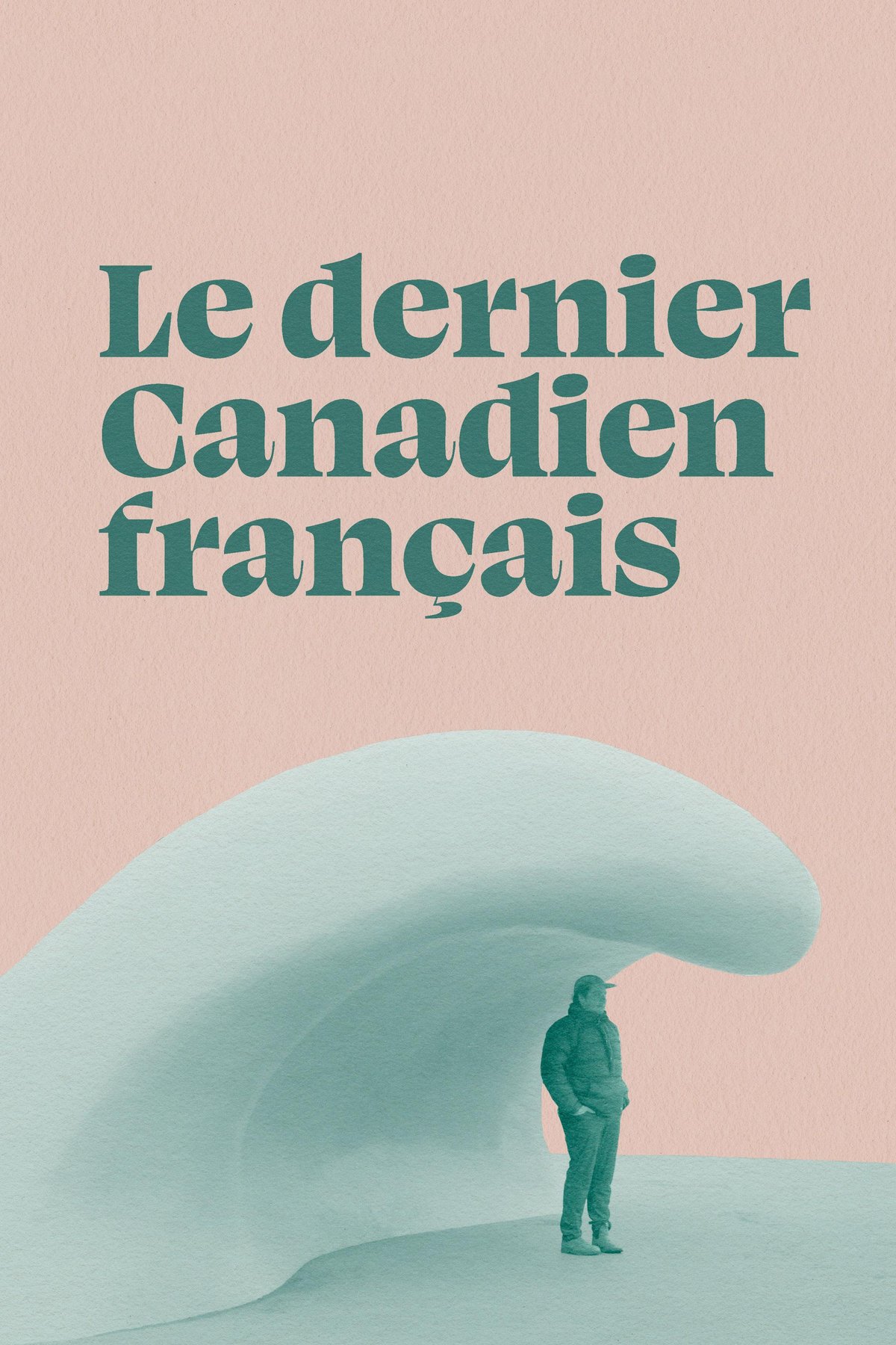 Poster of the movie Le dernier Canadien français